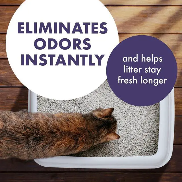 Alt view image 5 of 7 - ARM & HAMMER Forever Fresh Cat Litter Deodorizer, Pet-Friendly Lavender Scent, 33 oz