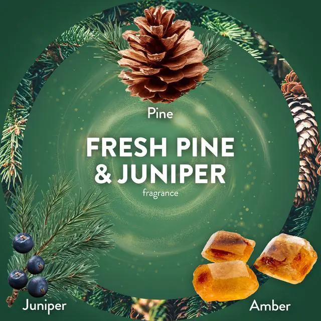 Alt view image 3 of 6 - Air Wick Plug-in Fall Scented Oil Warmer Air Freshener Refills, Fresh Pine & Juniper, 2 Count