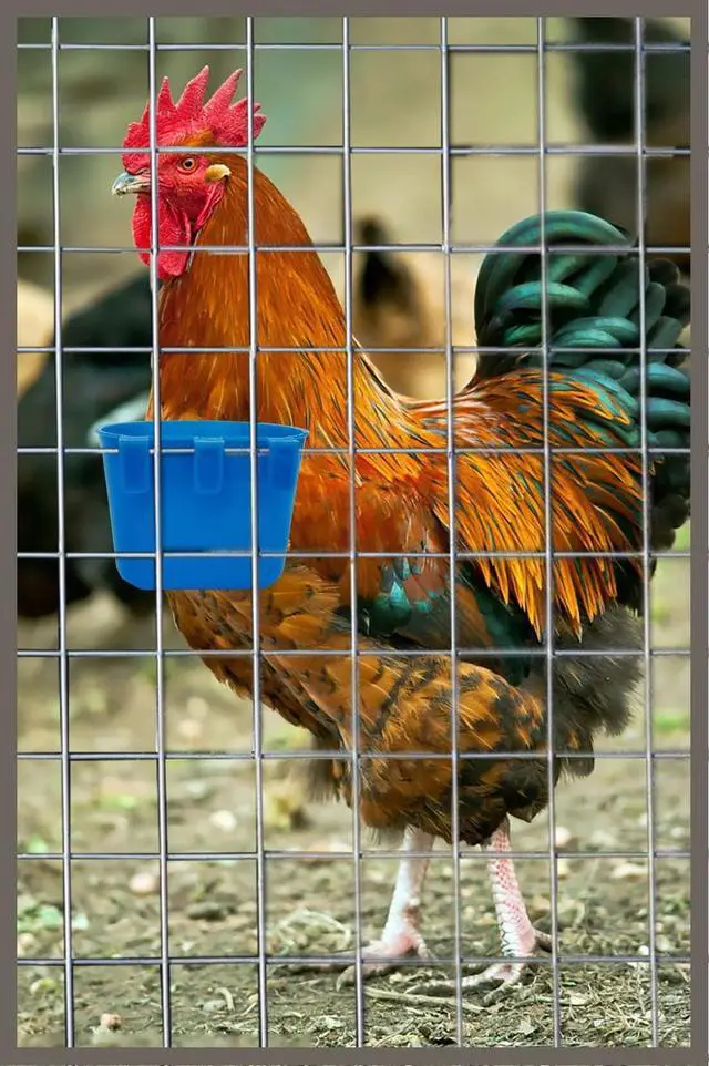 Alt view image 3 of 5 - 10 Pack 8oz Cage Cups Bird Feeders Seed Bowl Chicken Feeding Watering Dish Rabbit Water Food Hanging Wire Cages Box for Pet Parrot Parakeet Gamefowl Poultry Pigeon