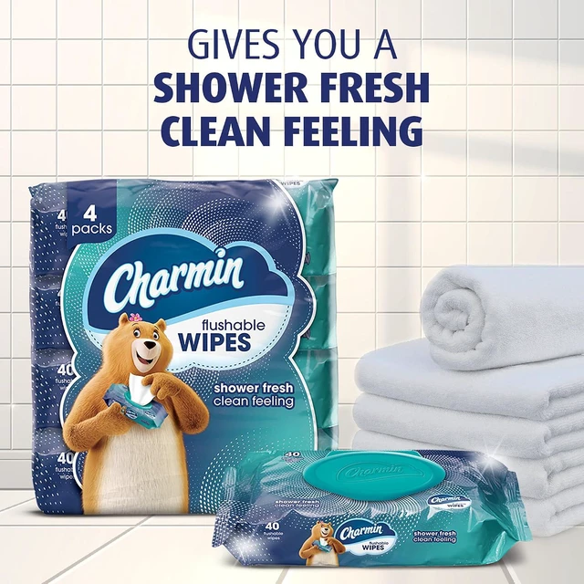 Alt view image 5 of 7 - Charmin Flushable Wipes, 160 Count (4 Packs of 40)