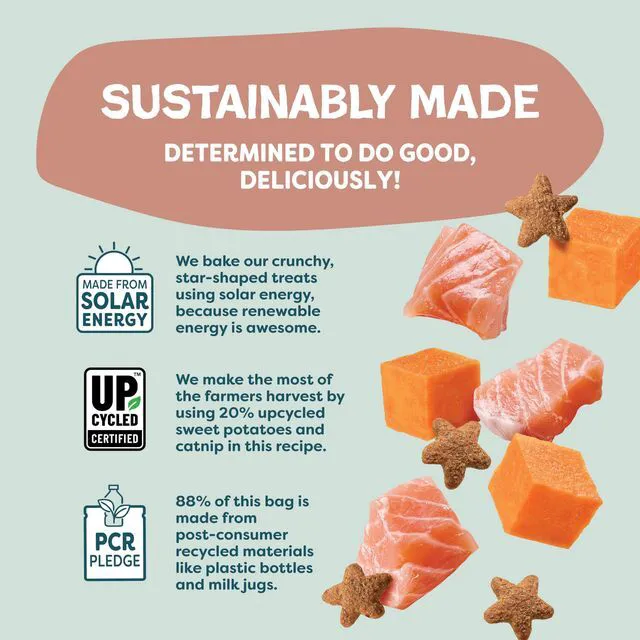 Alt view image 2 of 6 - Shameless Pets Crunchy Cat Treats, Skin & Coat Support, Real Salmon, Natural Ingredients, Yam Good Salmon Flavor, 1-Pack