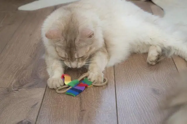 Alt view image 4 of 5 - Cat Dancer Products Cat Chaser with Colorful Fleece Interactive Toy for Exercise, Pack of 6, 4 x 1.5 x 1 Inches