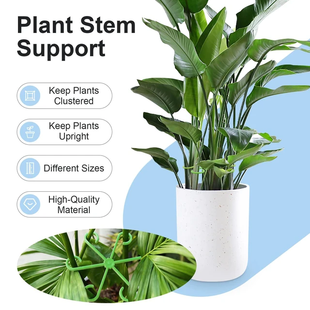 Alt view image 3 of 6 - Plant Stem Supports for Monstera, 20PCS, 4 Sizes for Indoor Plants