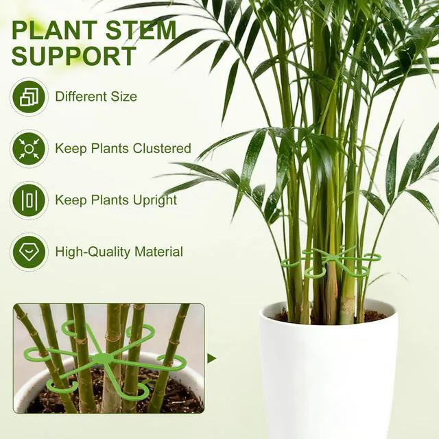 Alt view image 5 of 6 - Plant Stem Supports for Monstera, 20PCS, 4 Sizes for Indoor Plants