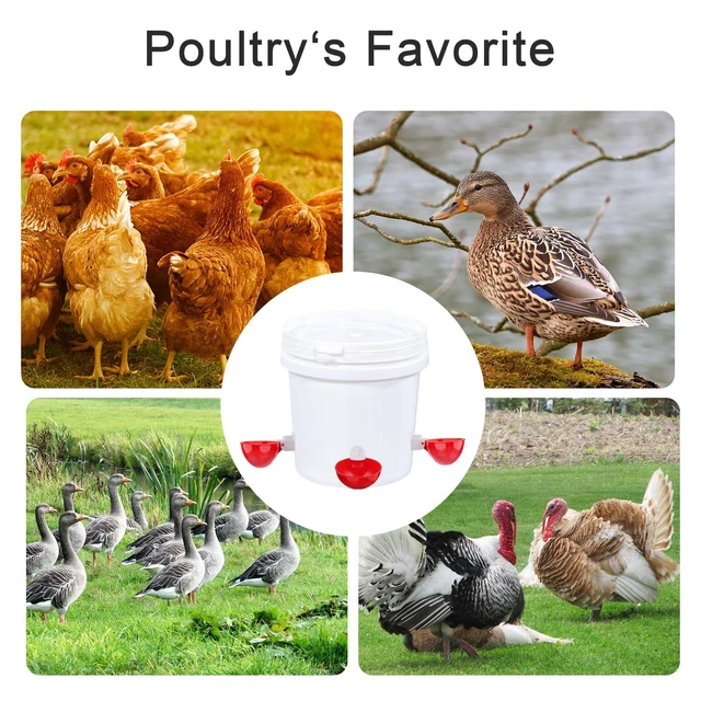 Alt view image 3 of 6 - 6 Pack Automatic Large Chicken Water Cups with Tee Fittings, Poultry Feeder Cups for Chicken Duck Goose Turkey, Mounting Hole Opener
