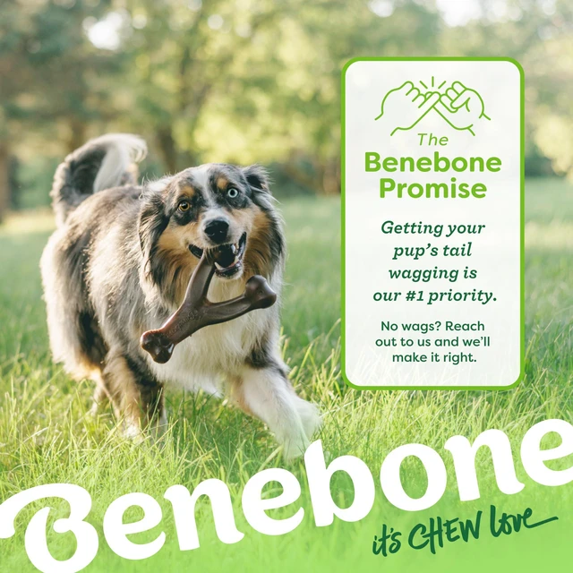 Alt view image 2 of 6 - Benebone Wishbone Dog Chew Toy for Aggressive Chewers, Real Bacon, Medium