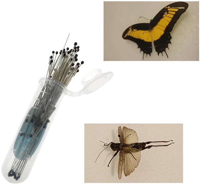 Alt view image 6 of 6 - 100 Pieces 40mm 2# Stainless Steel Pins for Entomology, Dissection and Butterfly Collections