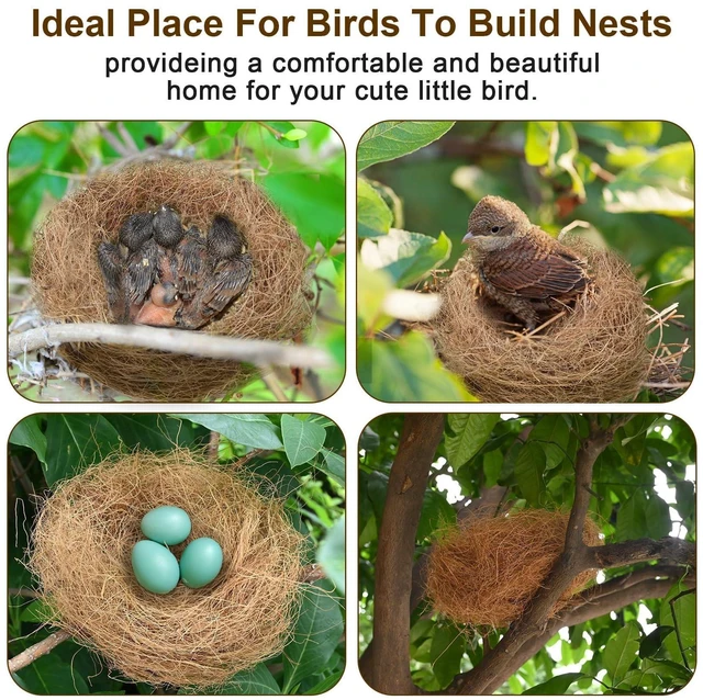 Alt view image 6 of 6 - Sukh 2PCS Coconut Fiber Bird Nest Bedding for Hummingbird Finch