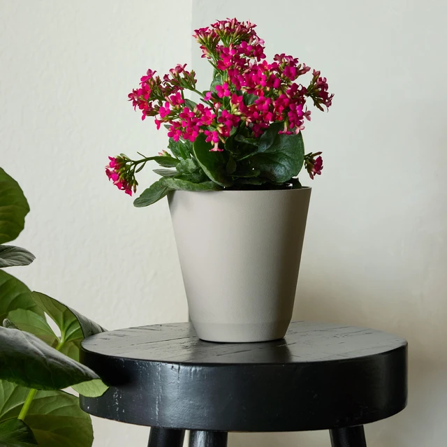 Alt view image 4 of 5 - Mainstays 9in. Beige Self-Watering Resin Planter