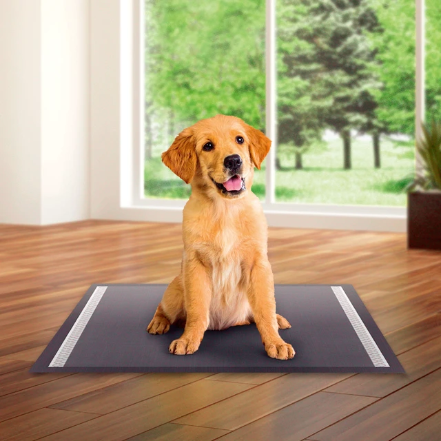 Alt view image 6 of 6 - Vibrant Life Charcoal Large Training Pads for Dogs and Puppies, Odor Control, Super Absorbent, Leak Proof, Fast Dry, 22in x 22in, 50 Count