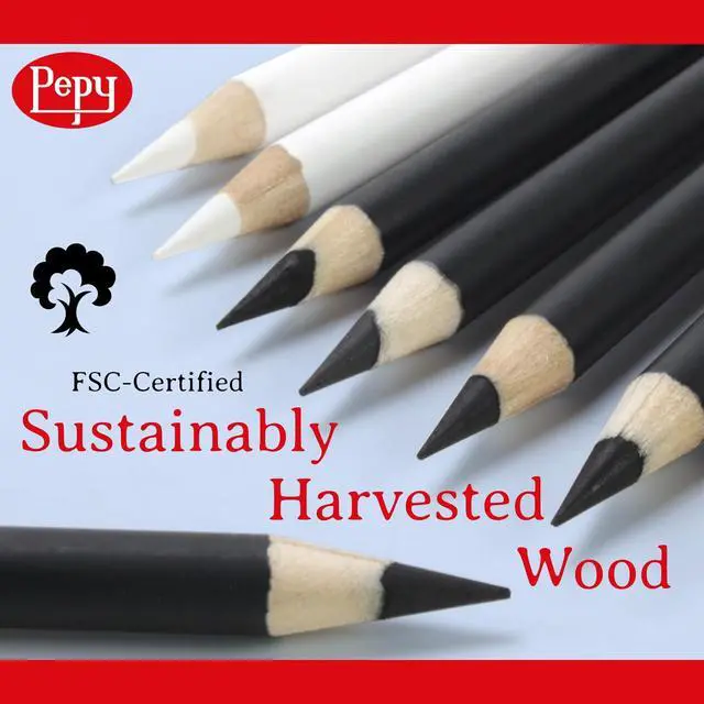 Alt view image 4 of 5 - Pepy Professional Soft Charcoal Pencil Set Set of 6 Pre-Sharpened Black Charcoal Pencils; Perfect for Drawing, Sketching, Blending and Shading