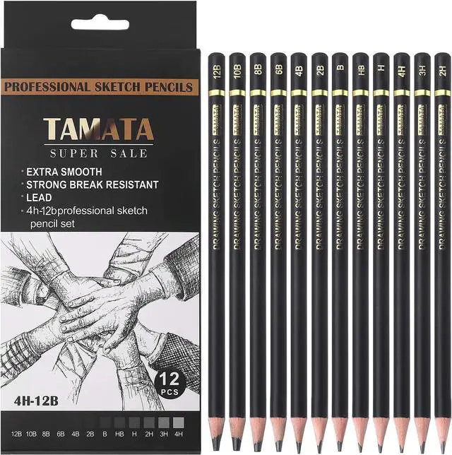 Main image of RVOGJP TAMATA Professional Drawing Sketching Pencil Set - 12 Pieces Art Graphite Pencils(12B - 4H), Ideal for Drawing Art, Sketching, Shading, for Beginners & Pro Artists