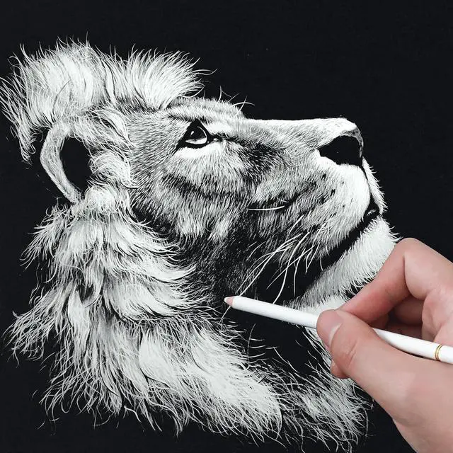 Alt view image 7 of 7 - HIFORNY 8 Pieces White Charcoal Pencils Drawing Set for Drawing, Sketching, Shading, Blending - Chalk Pencils for Beginners & Artists