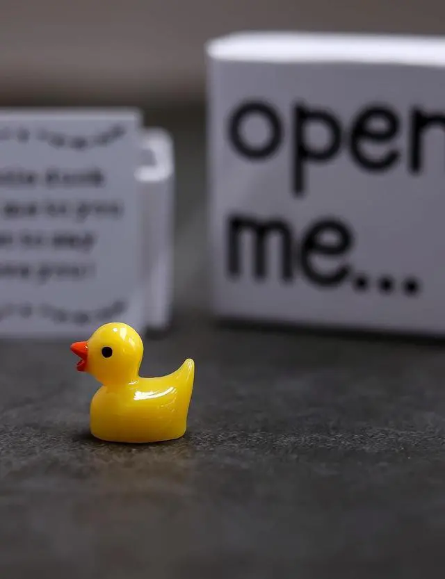 Alt view image 5 of 7 - I Love You Gift, Duck Gift, Matchbox Gift, Gift For Boyfriend, Gift For Girlfriend, Valentine's Day Gift
