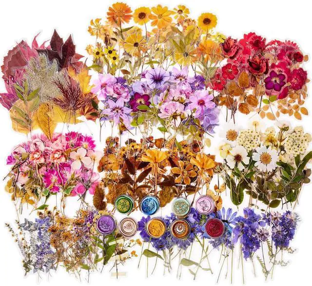 Main image of emmoolife Pressed Flower Stickers Set (380 PCS) Dried Flowers Themed Resin Sticker Decals Floral Botanical Journaling Stickers for Scrapbook Supplies Bullet Junk Journal Bottles Planner Laptops
