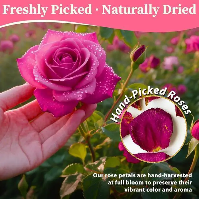 Alt view image 2 of 7 - 5oz Dried Rose Petals Red Rose Petals for Bath, Soap, Candle Making