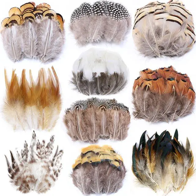 Main image of 200pcs 10 Style Natural Feathers Assorted Mixed Feathers for Dream Catcher Crafts Decoration (10 Styles - 200 Pcs)