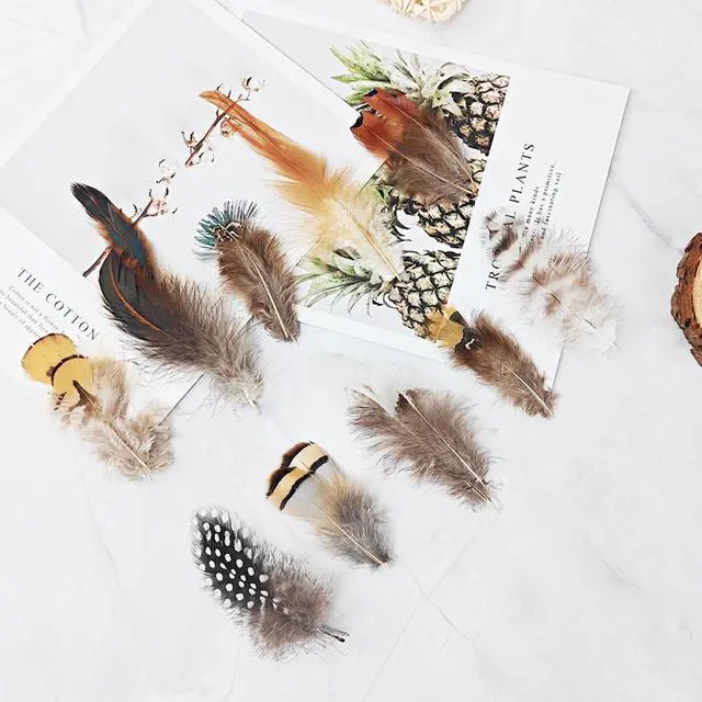 Alt view image 2 of 7 - 200pcs 10 Style Natural Feathers Assorted Mixed Feathers for Dream Catcher Crafts Decoration (10 Styles - 200 Pcs)