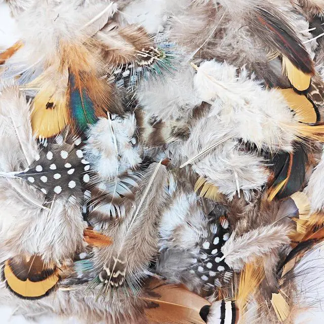 Alt view image 3 of 7 - 200pcs 10 Style Natural Feathers Assorted Mixed Feathers for Dream Catcher Crafts Decoration (10 Styles - 200 Pcs)