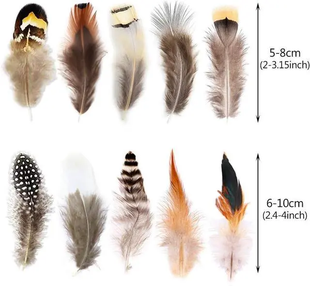 Alt view image 7 of 7 - 200pcs 10 Style Natural Feathers Assorted Mixed Feathers for Dream Catcher Crafts Decoration (10 Styles - 200 Pcs)