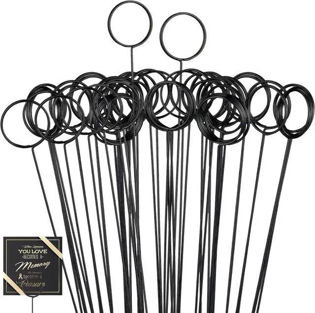 Main image of Hotop 30 Pcs Flower Card Holder Picks Metal Wire Picture Holders, Black