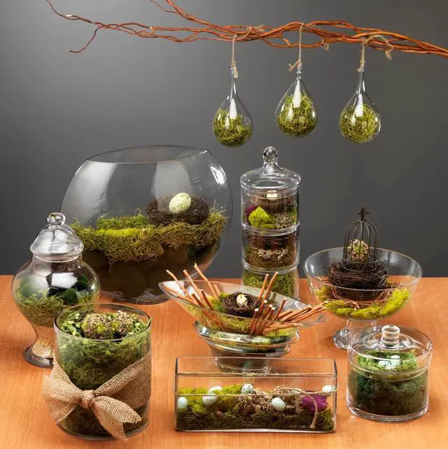 Alt view image 5 of 6 - SuperMoss (26956) Preserved Spanish Moss Decorative Moss for Crafts, Potted Plants, Fairy Gardens, Vase Filler, Floral Arrangements & Indoor/Outdoor Garden Projects, 120 cu in, Coffee