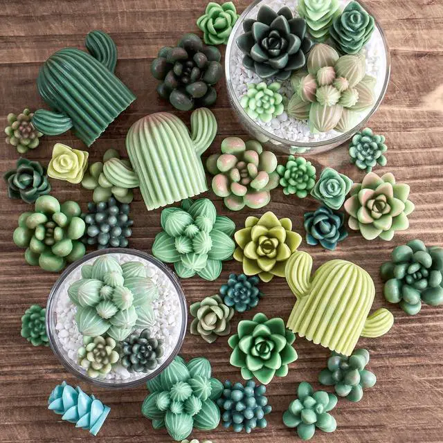 Alt view image 6 of 7 - 10 Pack Succulent Silicone Mold, 3D Cactus Candle Molds for Candle Making