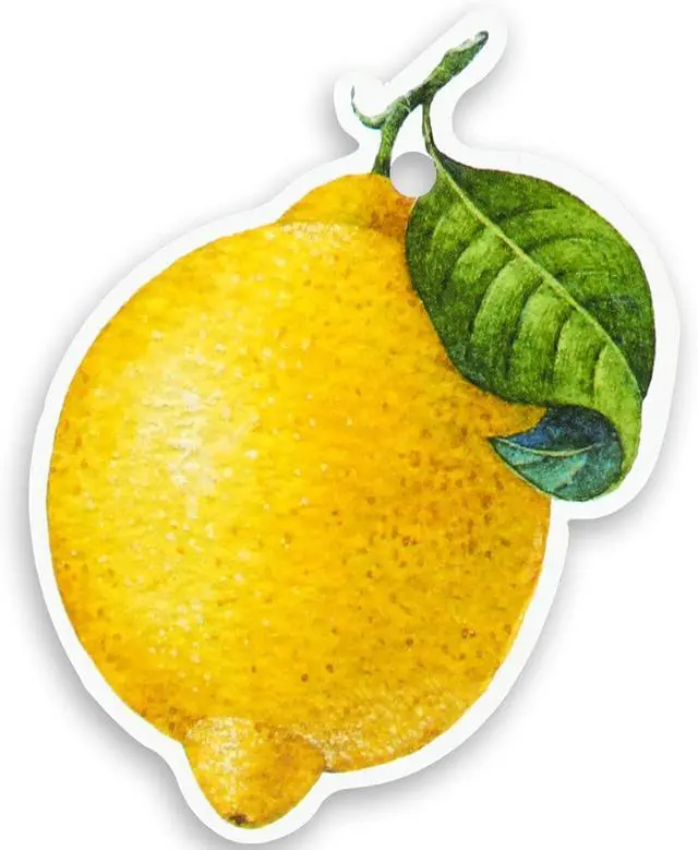 Main image of Whaline 120Pcs Lemon Gift Tags with Hemp Rope Artificial Lemon Paper Tags Summer Lemon Hanging Labels Seasonal Wishes Labels for Summer Birthday Lemon Party DIY Gift Party Favor Decor
