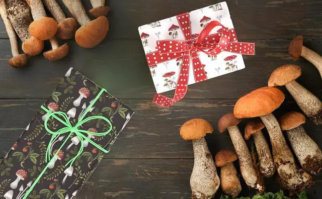Alt view image 5 of 7 - ZINTBIAL Mushroom Wrapping Paper for Kids Adults- Black White Funny Plant Gift Packaging for Spring Easter Holiday - 20 x 29 Inches, 8 Folded Sheets, Easy to Store