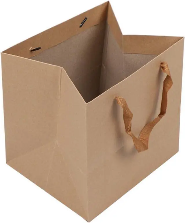 Main image of DraDraLee Large Kraft Paper Gift Shopping Handle Bags for Package 13inch