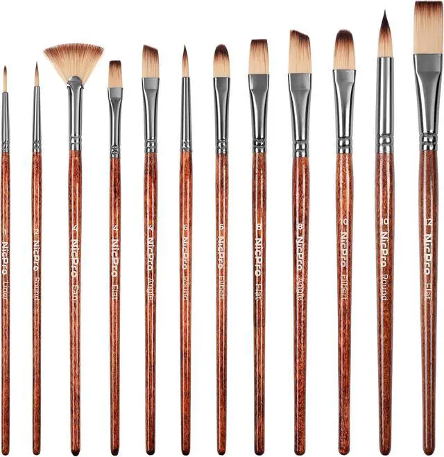 Main image of Nicpro 12pcs Paint Brush Set,Craft Paint Brushes for Acrylic & Oil Painting