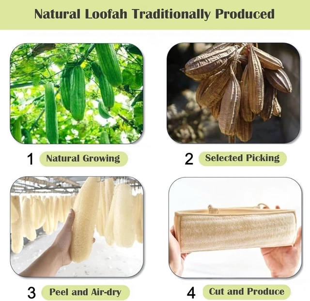 Alt view image 2 of 7 - Intensive Exfoliation, Natural Loofah Body Scrubber for Bath & Shower