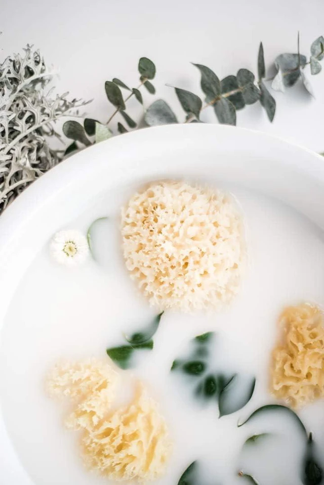 Alt view image 2 of 3 - Kyte Baby Natural Sea Sponge