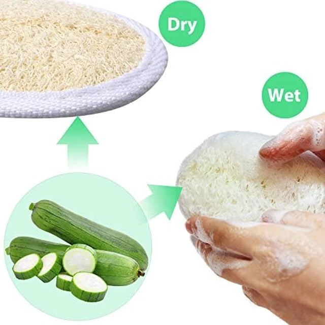 Alt view image 2 of 5 - Exfoliating Loofah Sponge Pads for Facial Body Bath Shower