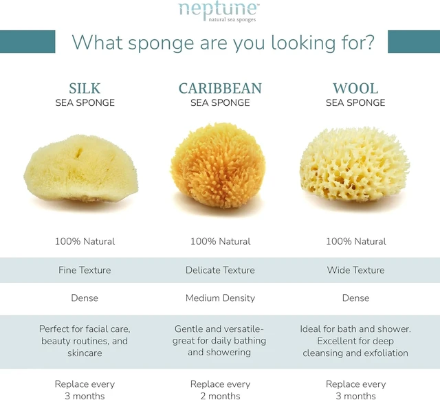 Alt view image 3 of 4 - Neptune Caribbean Sea Sponge Exfoliating Bath Sponge
