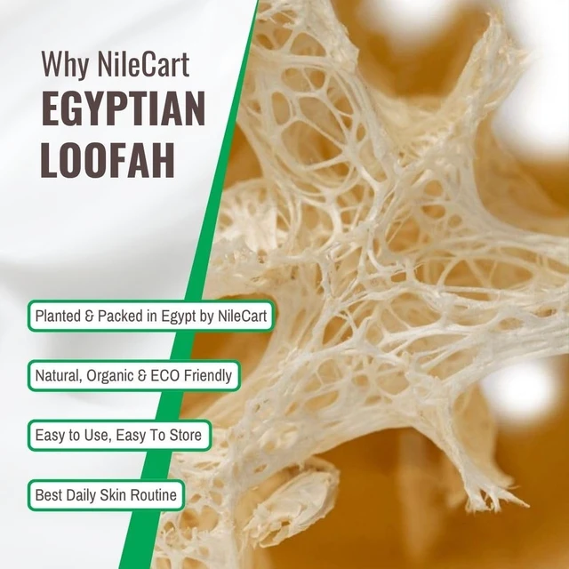 Alt view image 7 of 7 - Natural Egyptian Loofah Shower Gloves - Body Exfoliating Scrubber Mitts for Men and Women