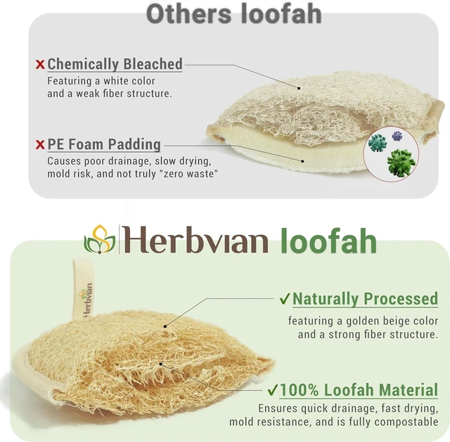 Alt view image 4 of 7 - Pure Luffa Skin Polishing Back Scrubbing Sponge for Shower & Bath