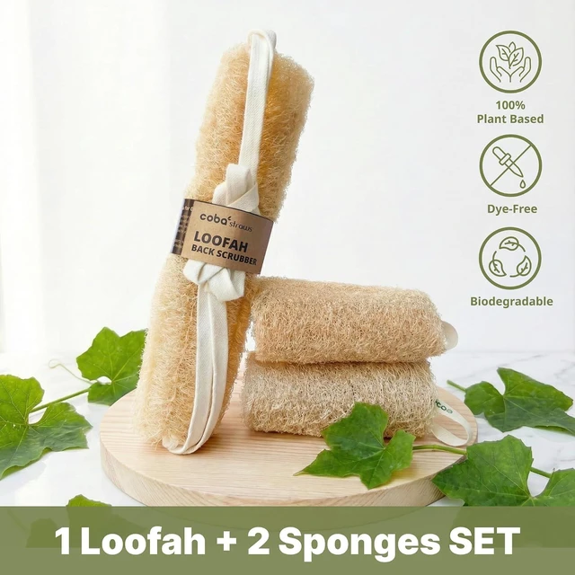 Alt view image 2 of 7 - Organic Luffa Body Exfoliator with Handles - Plant-Based Eco Shower Sponge for Deep Cleaning