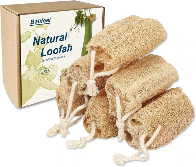 Main image of Eco-Friendly Shower Sponge for Face and Back Skin Cleaning, Organic Natural Luffa Body Scrubber Set for Bath Exfoliation