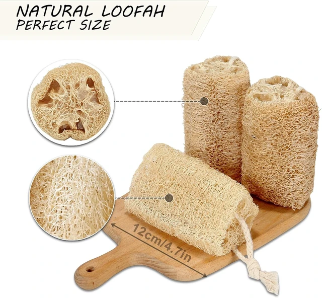 Alt view image 7 of 7 - Eco-Friendly Shower Sponge for Face and Back Skin Cleaning, Organic Natural Luffa Body Scrubber Set for Bath Exfoliation