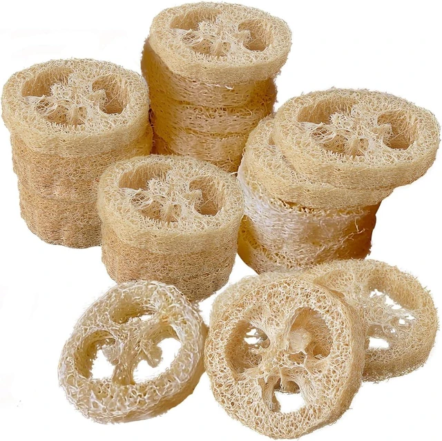 Main image of Organic Natural Loofah Rounds for DIY Soap Crafting
