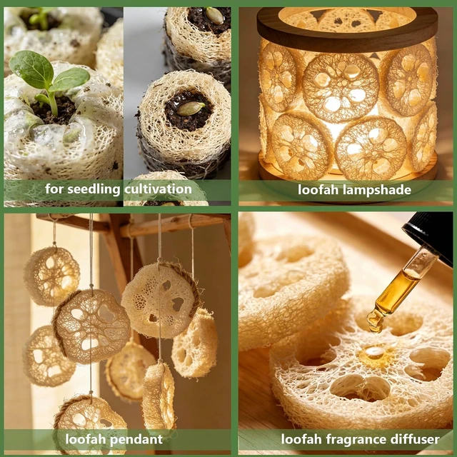 Alt view image 4 of 7 - Organic Natural Loofah Rounds for DIY Soap Crafting