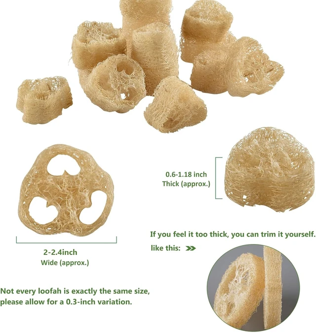 Alt view image 7 of 7 - Organic Natural Loofah Rounds for DIY Soap Crafting