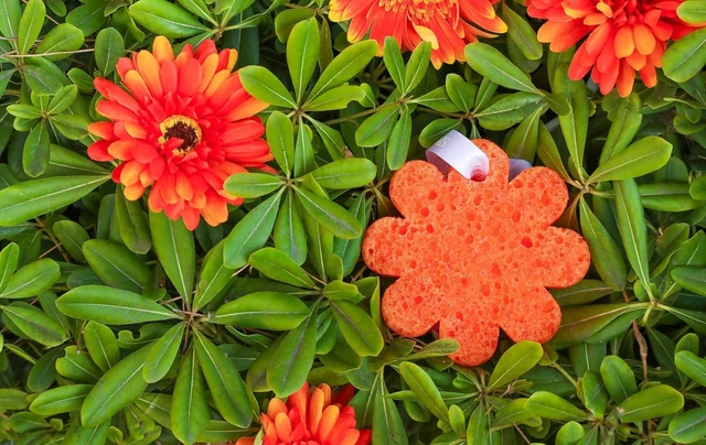 Alt view image 3 of 5 - Women's Shower Loofah, Spongellé Lily of the Valley Wild Flower Bath Sponge with Built-in Body Wash & Scrubber