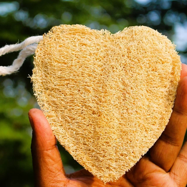 Alt view image 3 of 3 - Organic Natural Luffa Body Scrubber for Men and Women - Sun Dried Exfoliating Bath Sponge