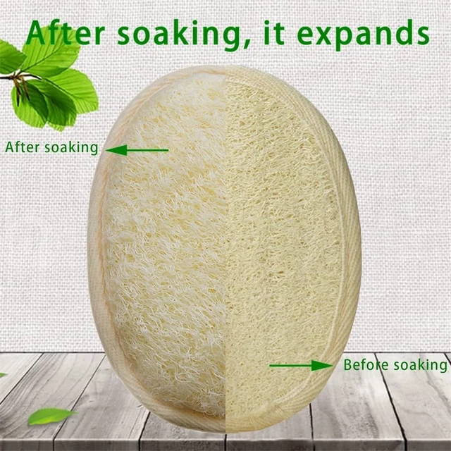 Alt view image 3 of 7 - Gentle Scrubber for Men and Women Ideal for Shower Bath Spa, Dual Pack Natural Luffa and Terry Cloth Body Exfoliating Loofah Sponge