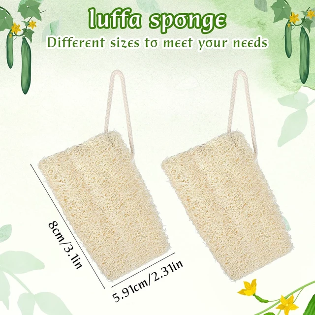 Alt view image 3 of 7 - Unisex Bath Tool, Organic Exfoliating Shower Sponge for Smooth Skin, Natural Loofah Body Scrubber Set