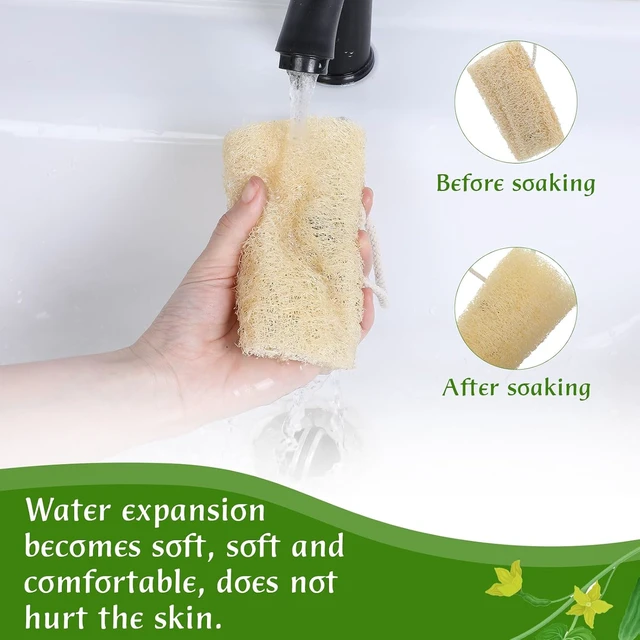 Alt view image 4 of 7 - Unisex Bath Tool, Organic Exfoliating Shower Sponge for Smooth Skin, Natural Loofah Body Scrubber Set