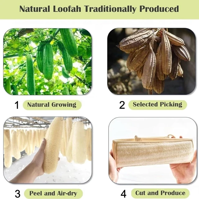 Alt view image 3 of 6 - Natural Loofah Back Scrubber with Microfiber Towel for Deep Body Cleansing in Shower