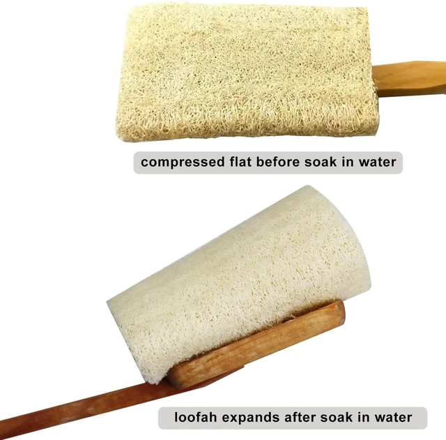 Alt view image 7 of 7 - Deep Cleansing Bath Sponge for Back Exfoliation and Skin Revitalization, Natural Loofah Body Scrubber with Long Wooden Handle